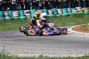 20110501_ales_agnus (3135)